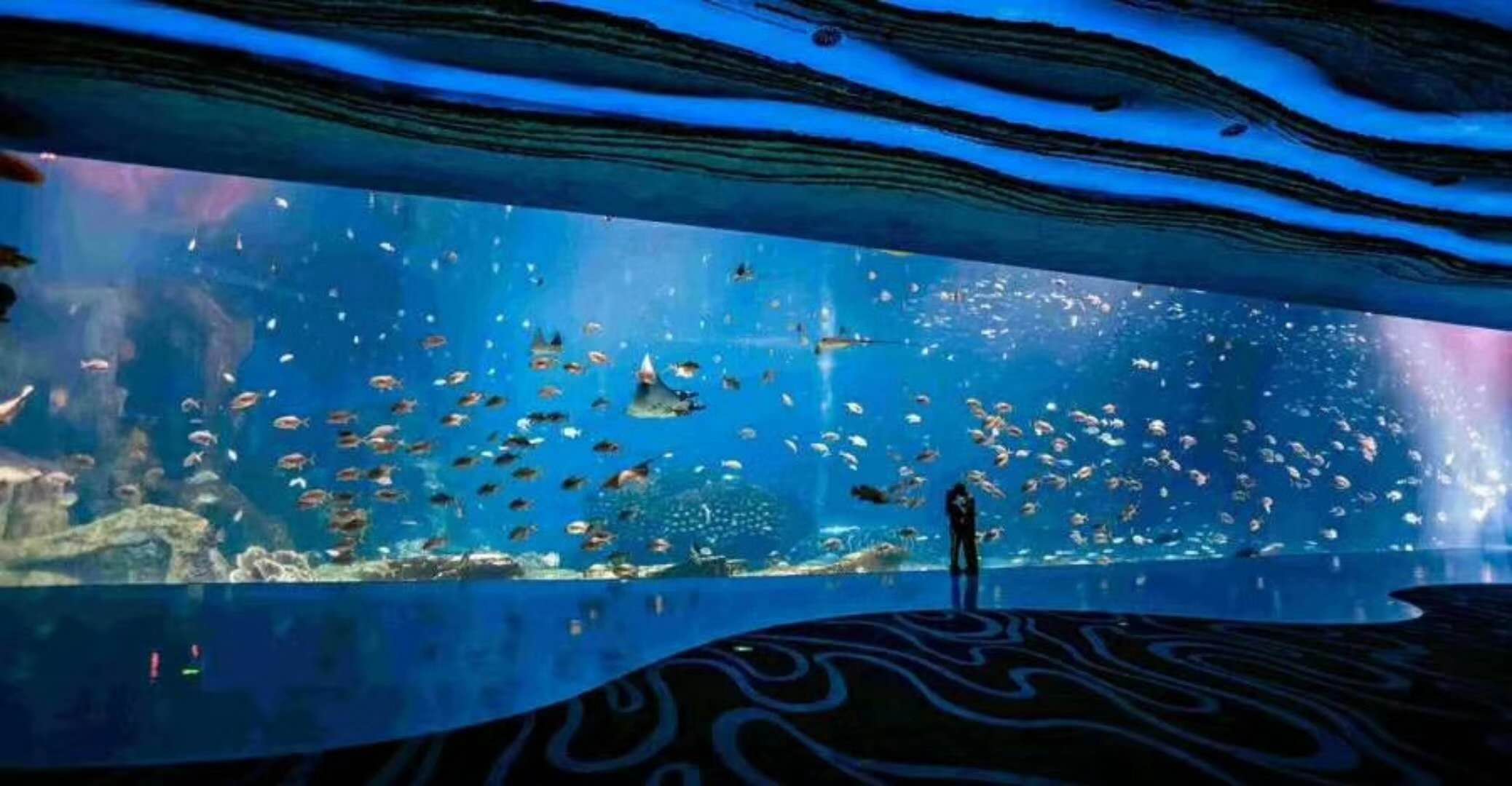 海洋館水族館生物養(yǎng)殖用水臭氧殺菌，滅藻