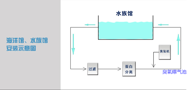 海洋館過濾，蛋分，臭氧，曝氣池.png